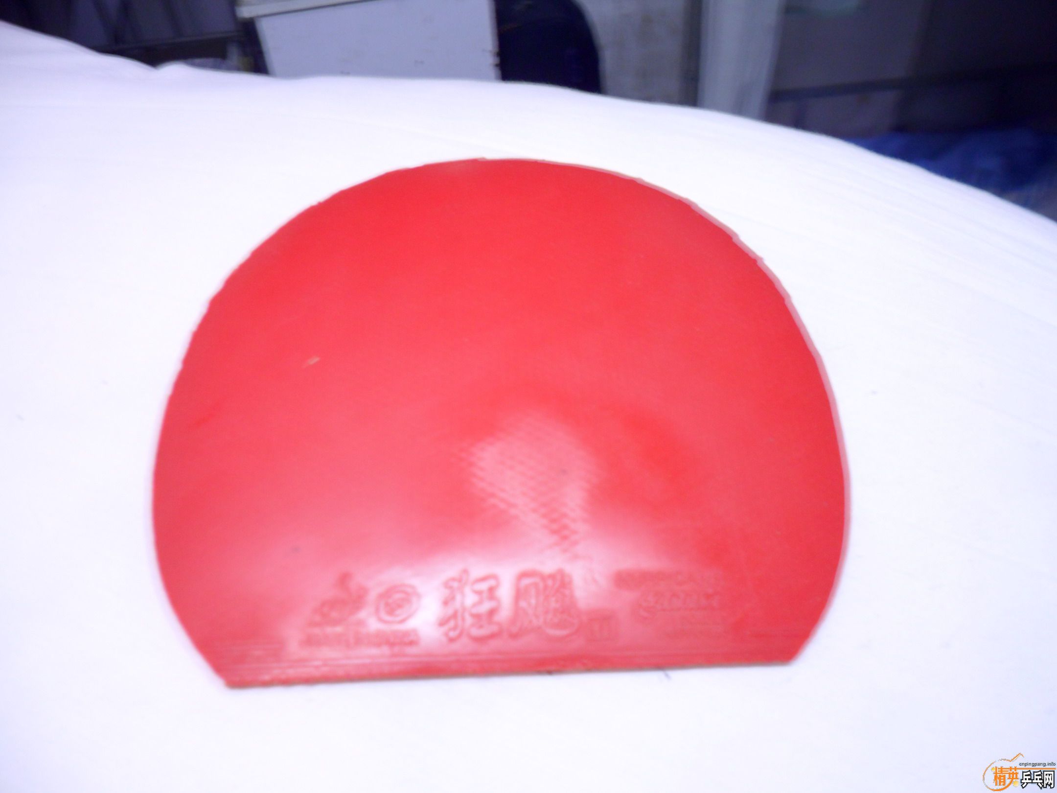 [�Ƽ�](���Էֿ���)���Ͽ��հ�YEO������neo�켫��������729����