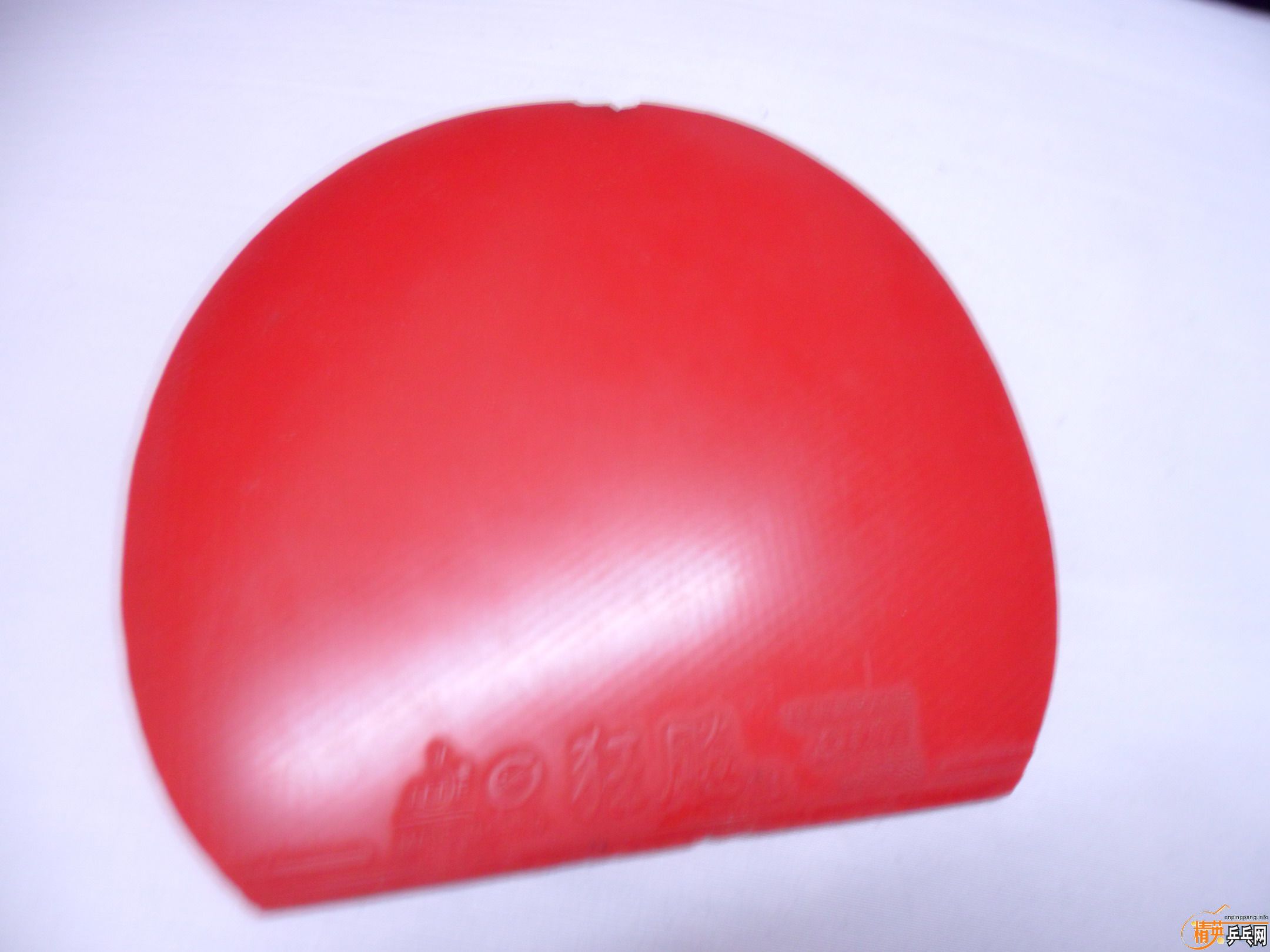 [�Ƽ�](���Էֿ���)���Ͽ��հ�YEO������neo�켫��������729����