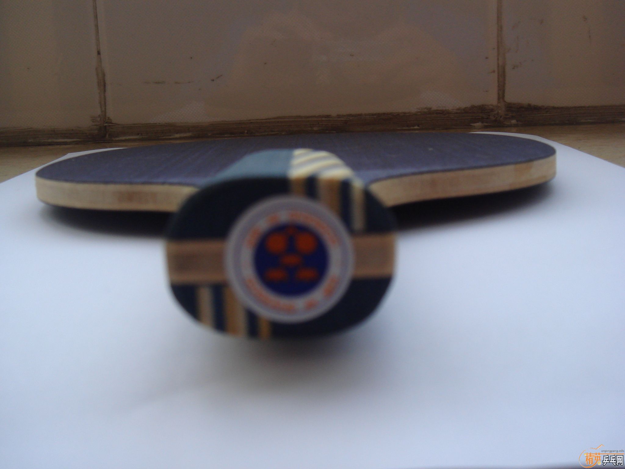 ******** STIGA��ˮ���߶��� �������� �� �������� �ϲ���  ����ɫ����Ǯ