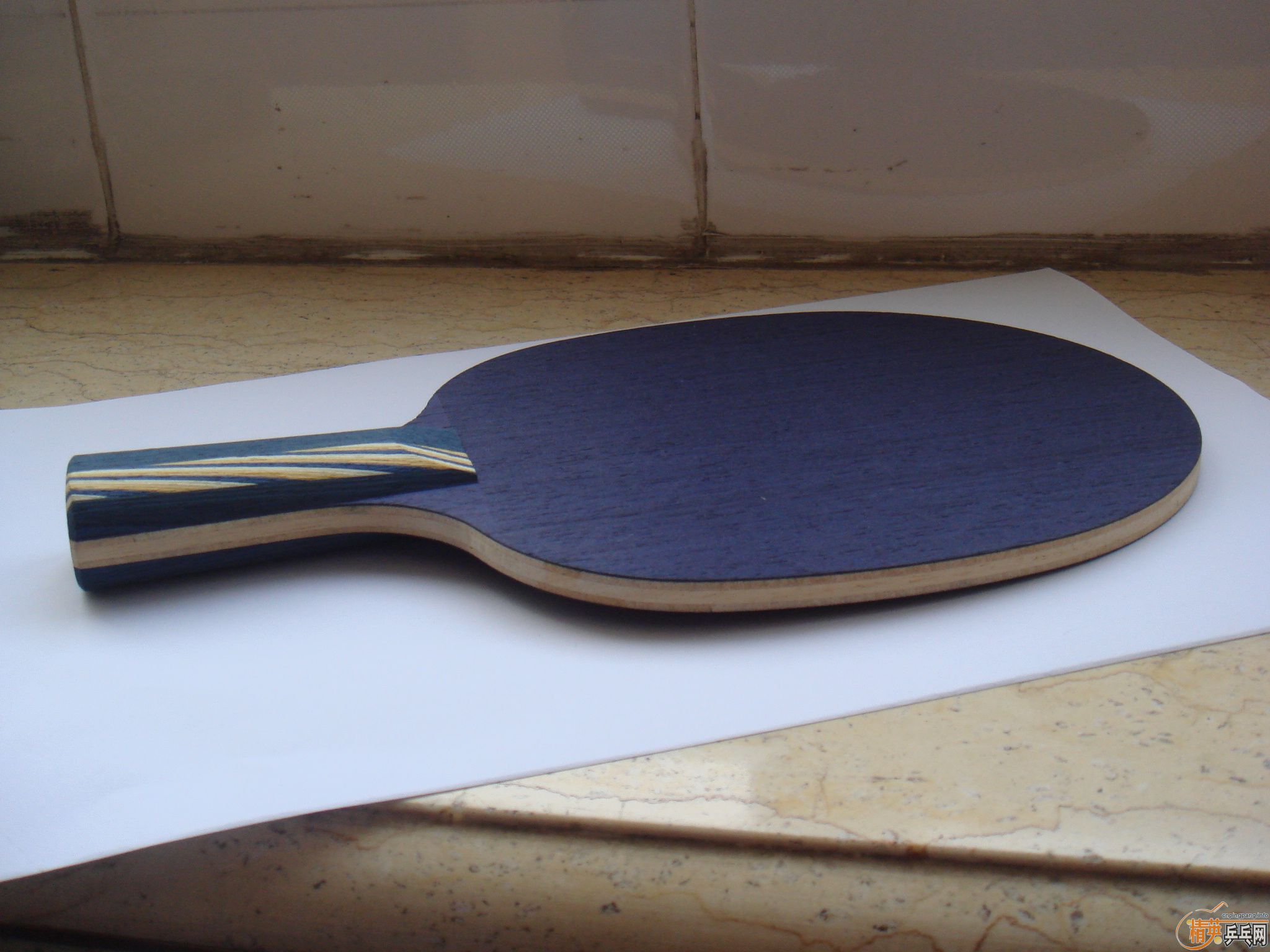 STIGA��ˮ���߶��� �������� ���ϲ���  ��������   ����ɫ ����Ǯ