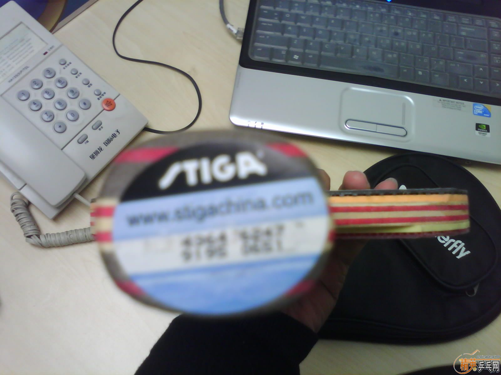 תCL GR30210 ������һֻ������3 ����729����