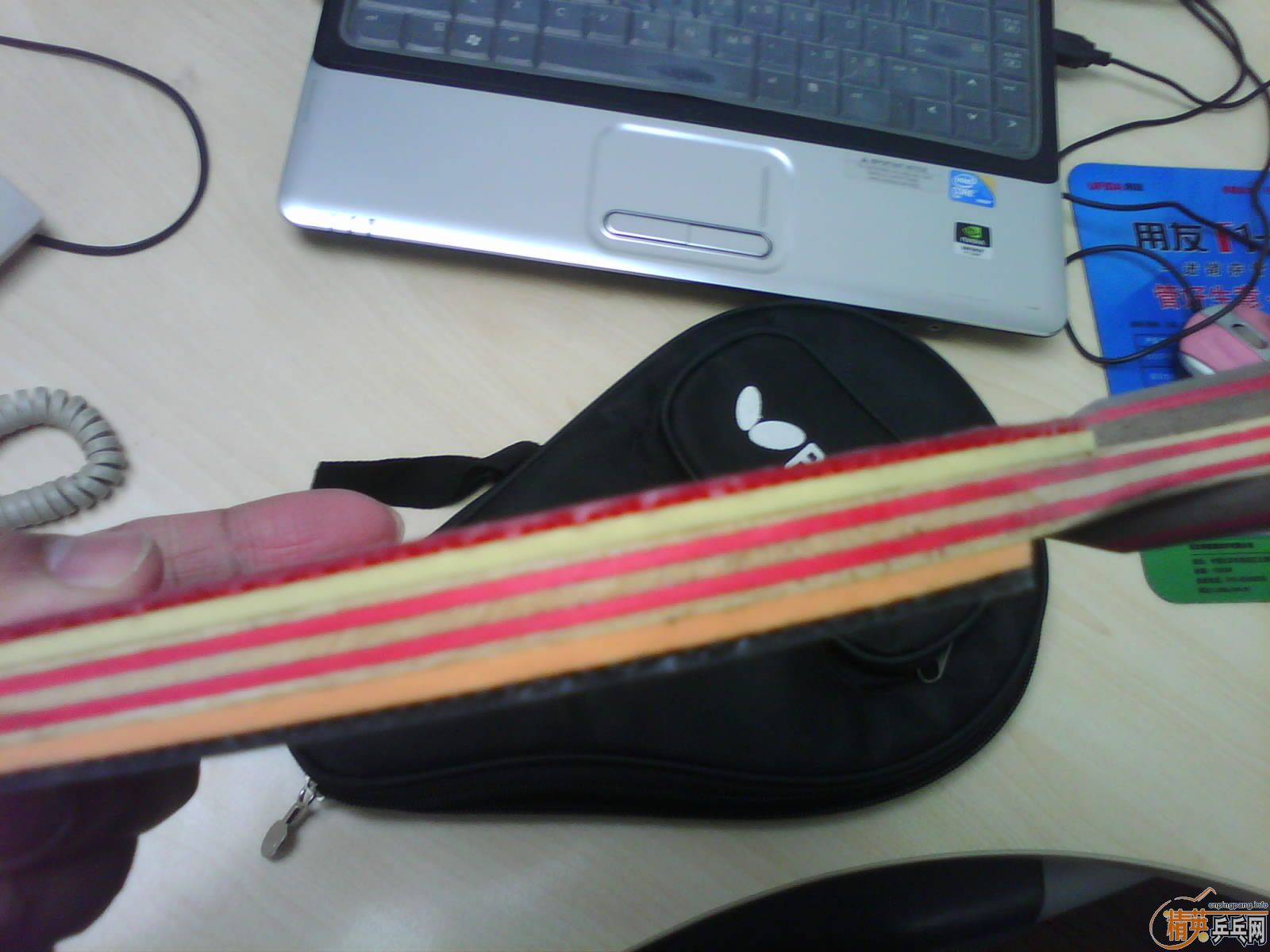 תCL GR30210 ������һֻ������3 ����729����