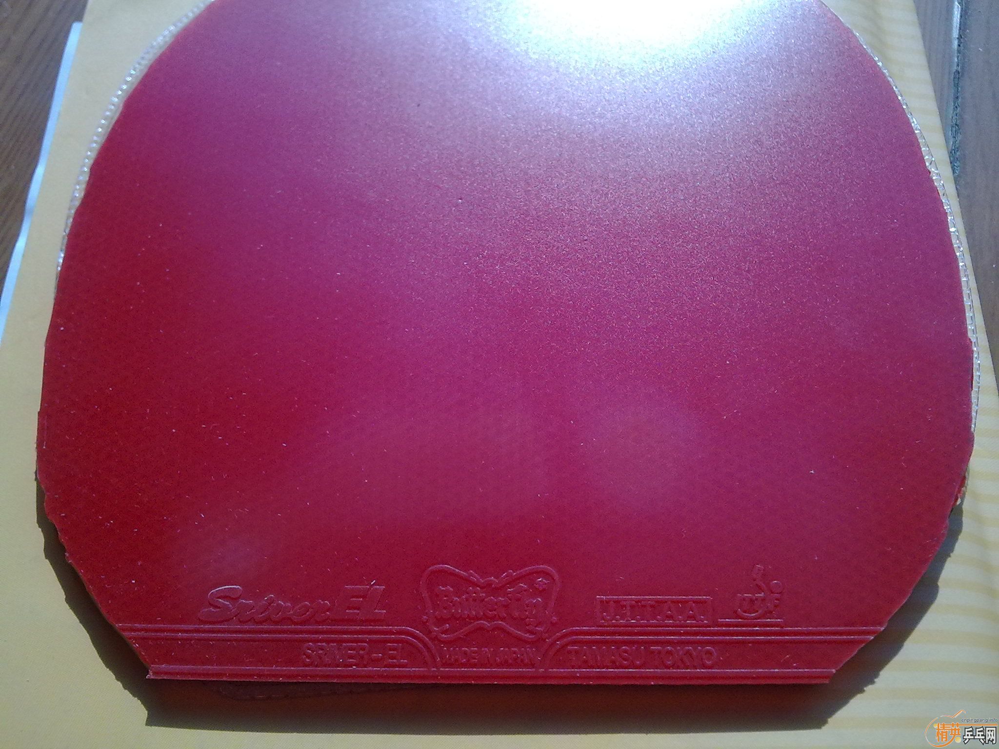 ֱ�ĺ��� 260�� �հ�ye  { 89���׽� }