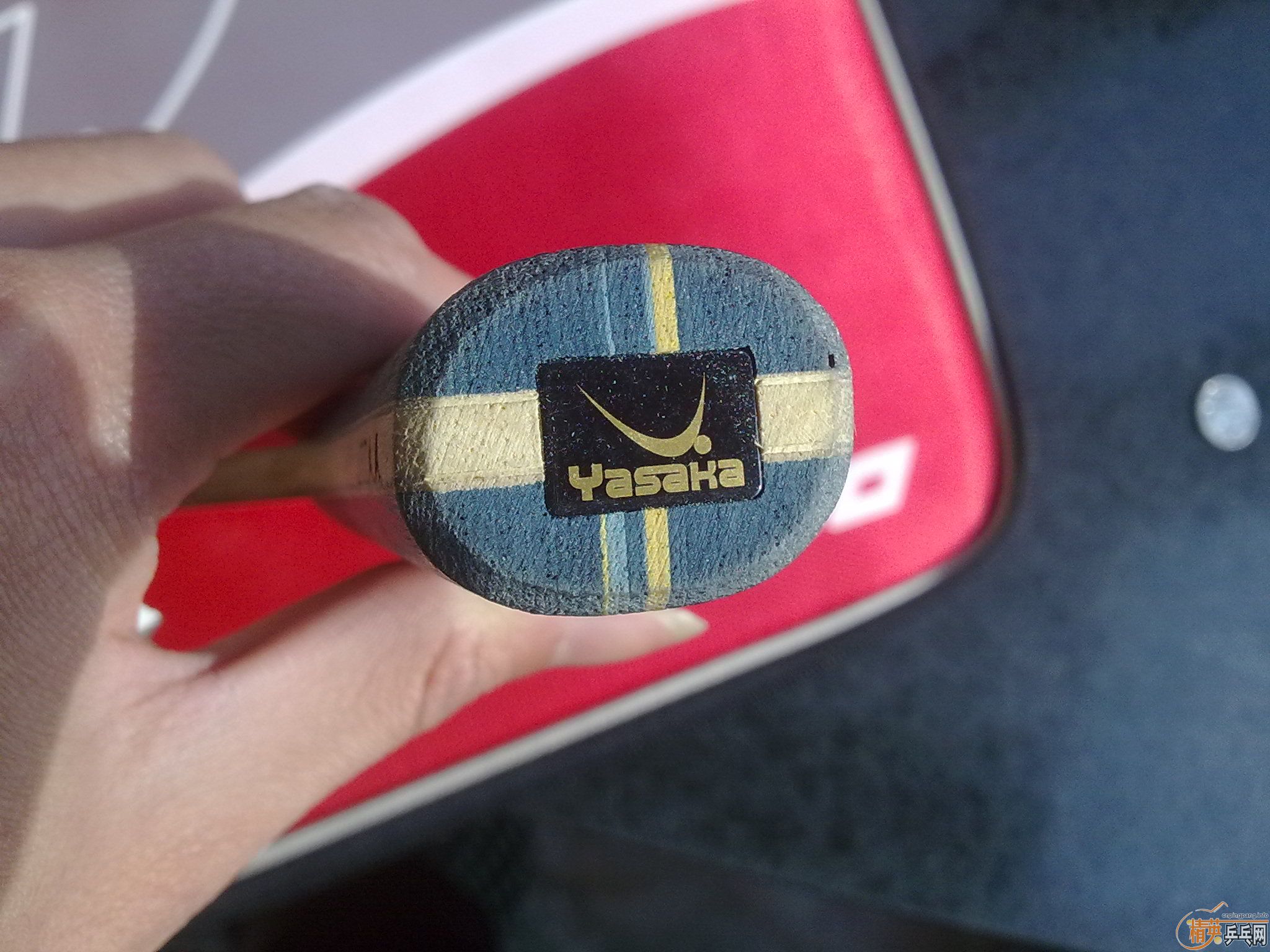 ֱ�ĺ��� 260�� �հ�ye  { 89���׽� }