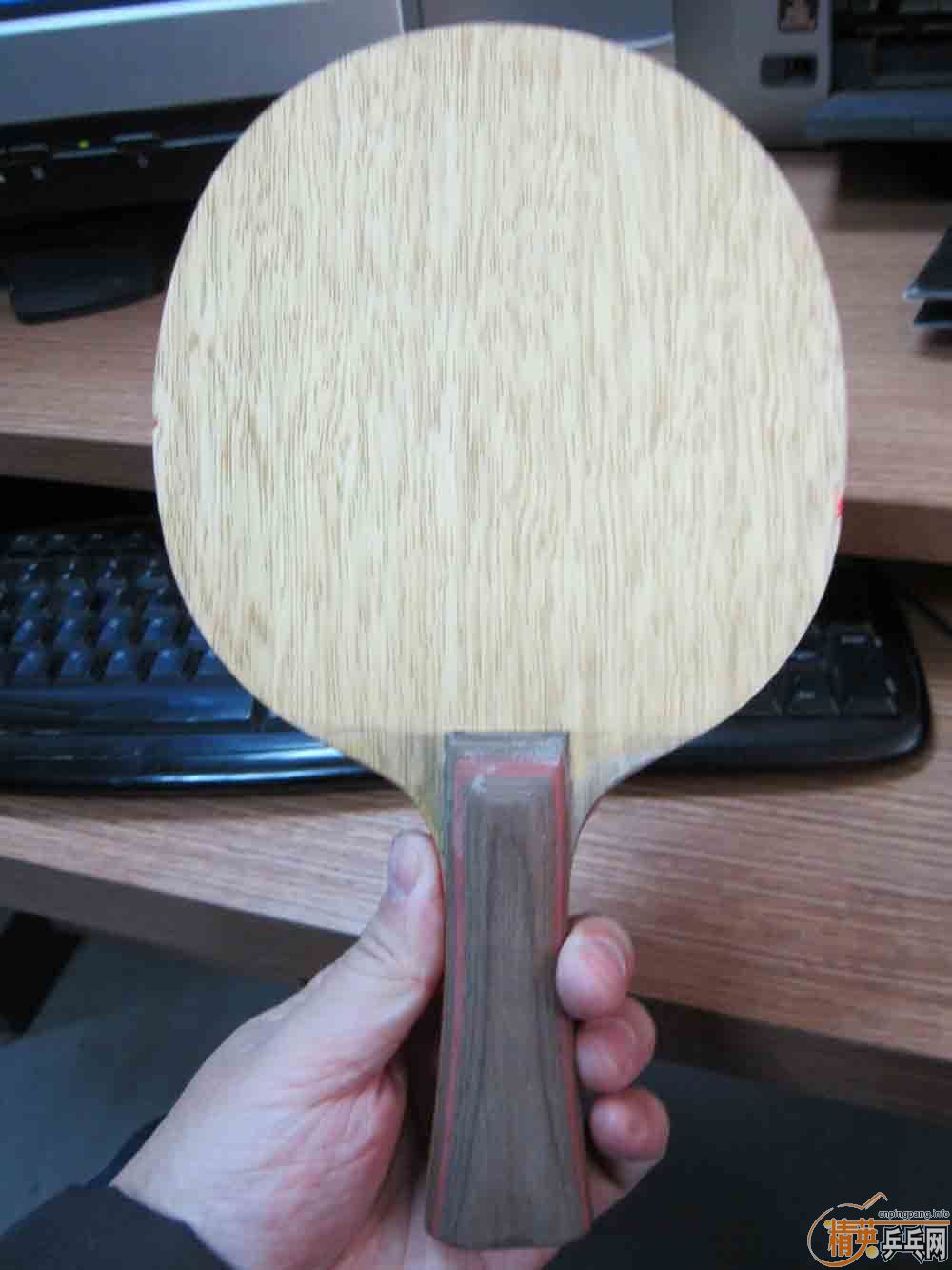 ��������Ӻͽ�Ƥ��������������CL��OC��05��64������ȣ�