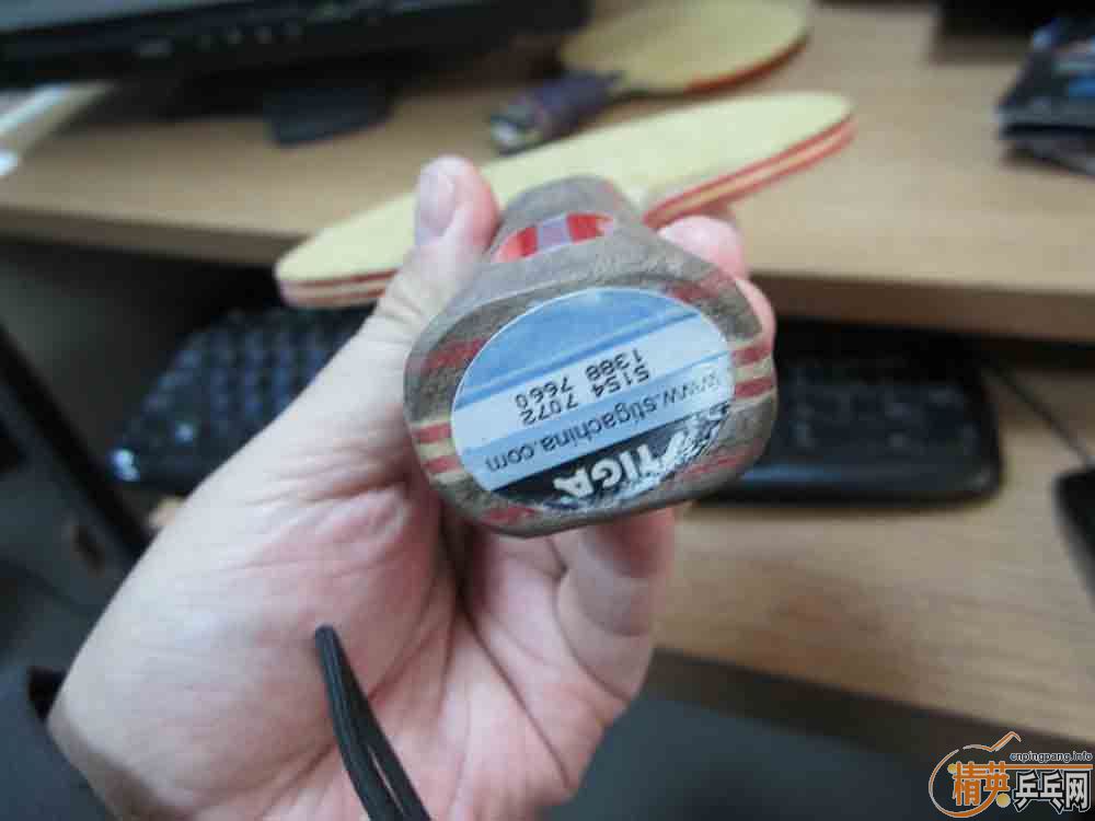 ��������Ӻͽ�Ƥ��������������CL��OC��05��64������ȣ�