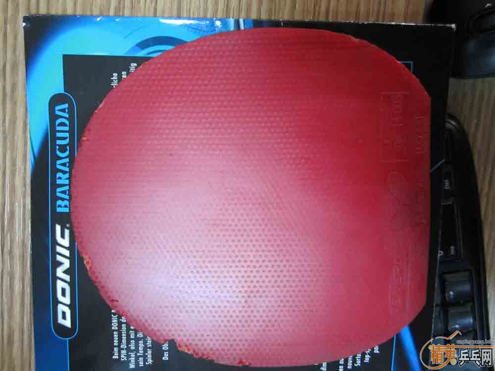 ��������Ӻͽ�Ƥ��������������CL��OC��05��64������ȣ�