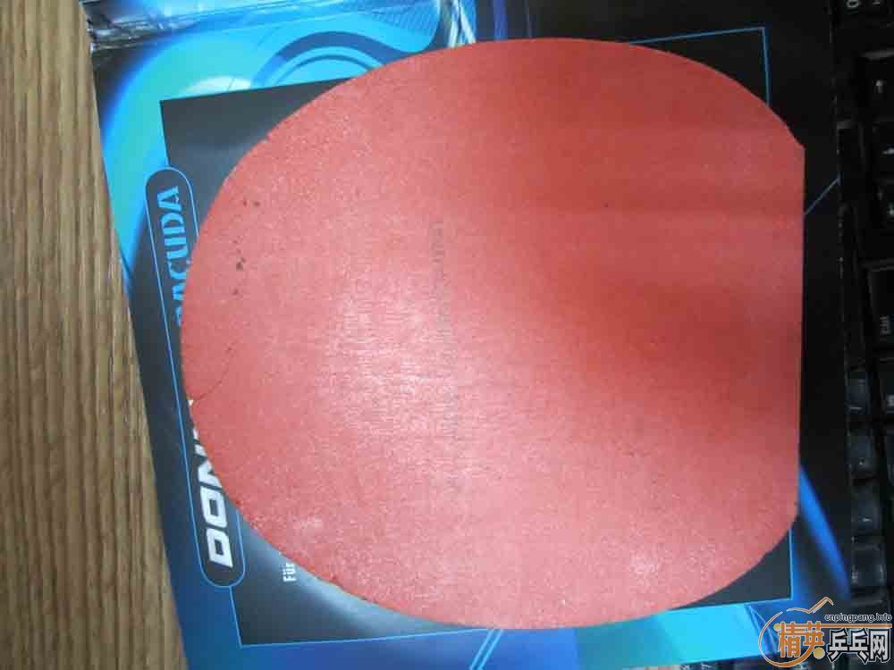 ��������Ӻͽ�Ƥ��������������CL��OC��05��64������ȣ�