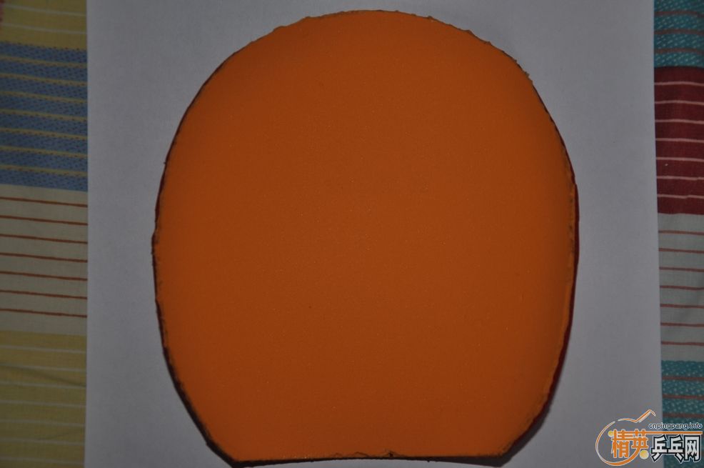 ��׳����������V�������S2��ͦ��GRIP�����3��ʡ��3��Ƥ