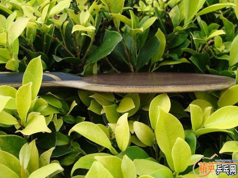 07,08����һ����