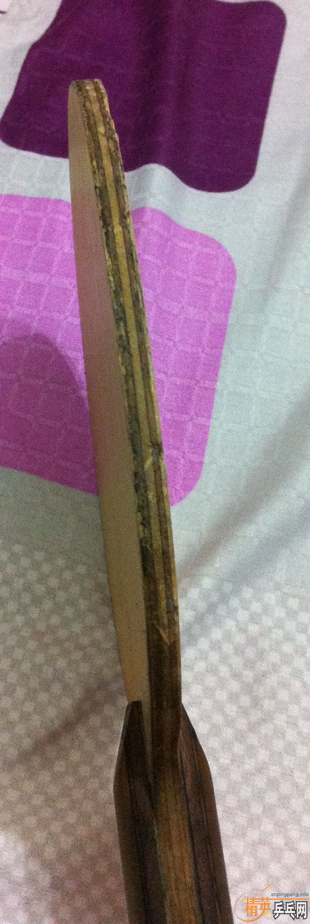 ֧������=���=����+���ſ�����ɫһ��729faster��ɫһ��yasaka zap��ɫ(�׽����ǳ��£�ͼƬ�ɿ��ó���)��522��˳�ᣬ��ϵQQ 30282229