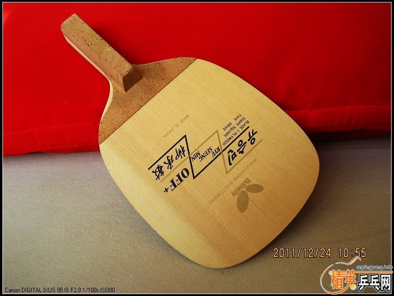 ���� ���������������� 21560