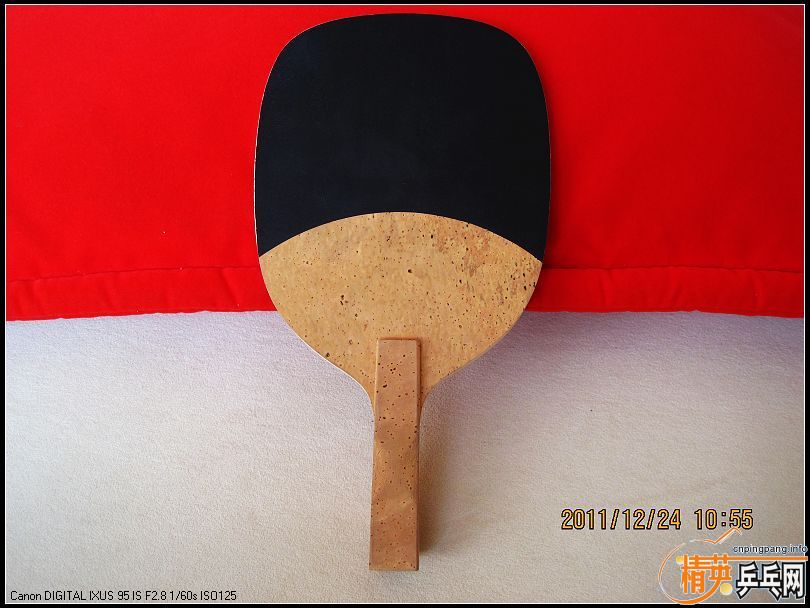 ���� ���������������� 21560