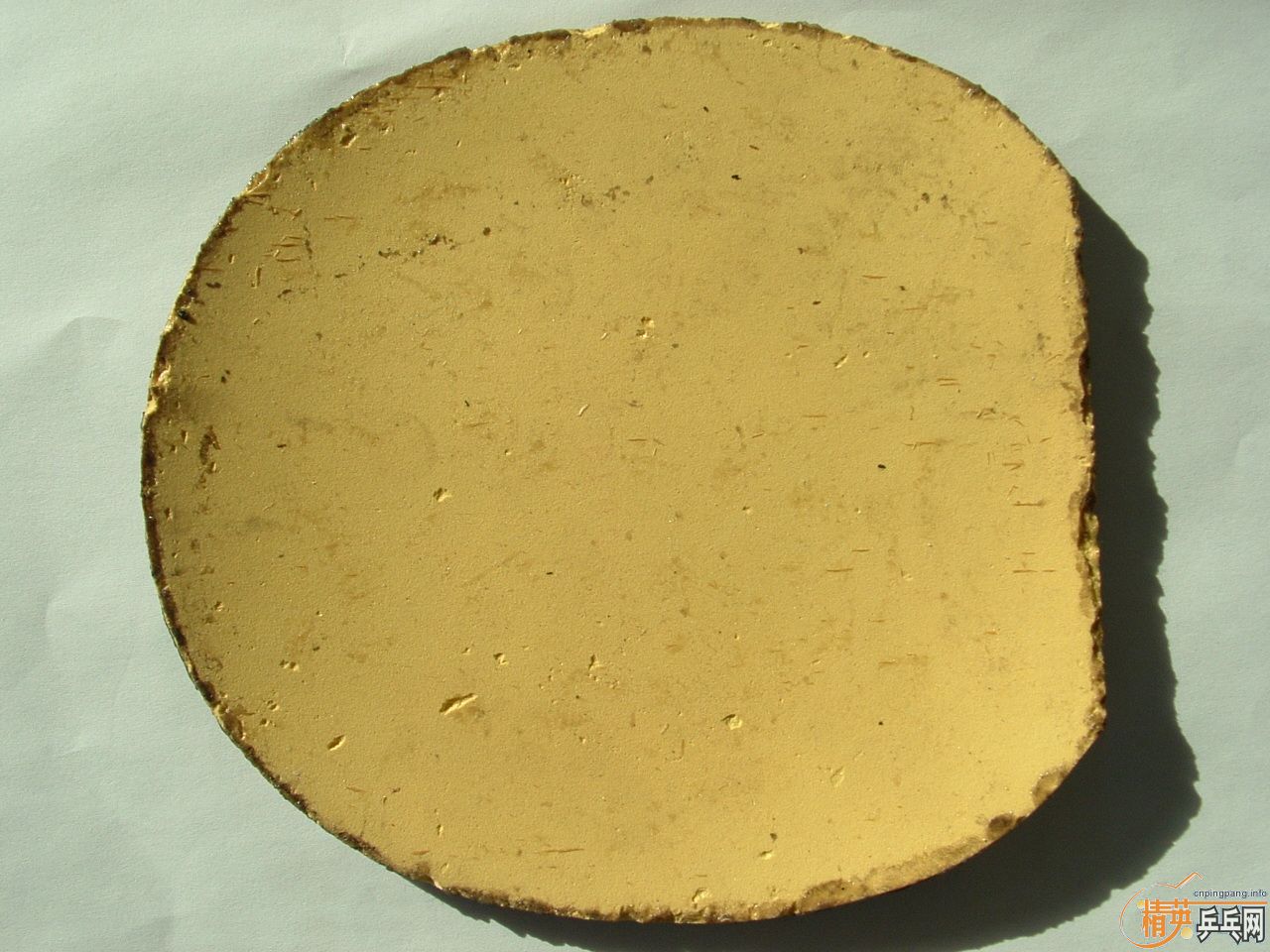 �������׽� ֧��������