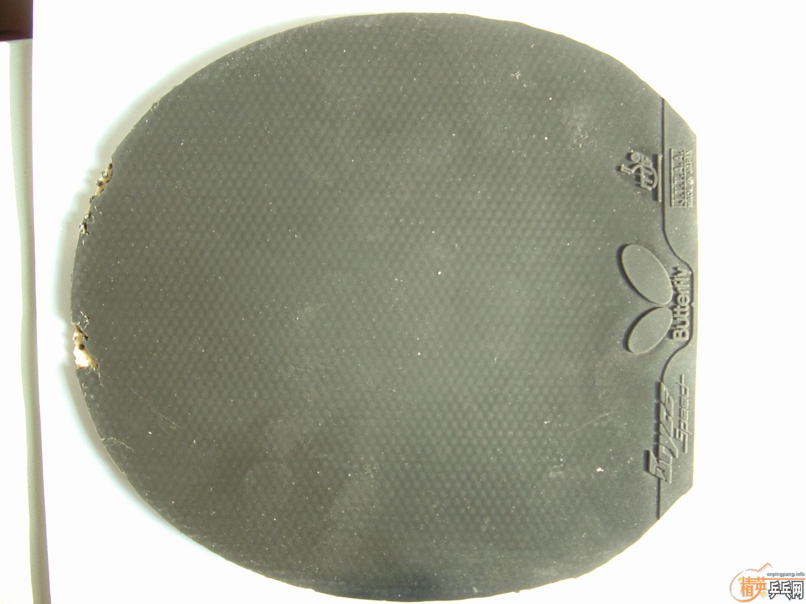 �������׽� ֧��������