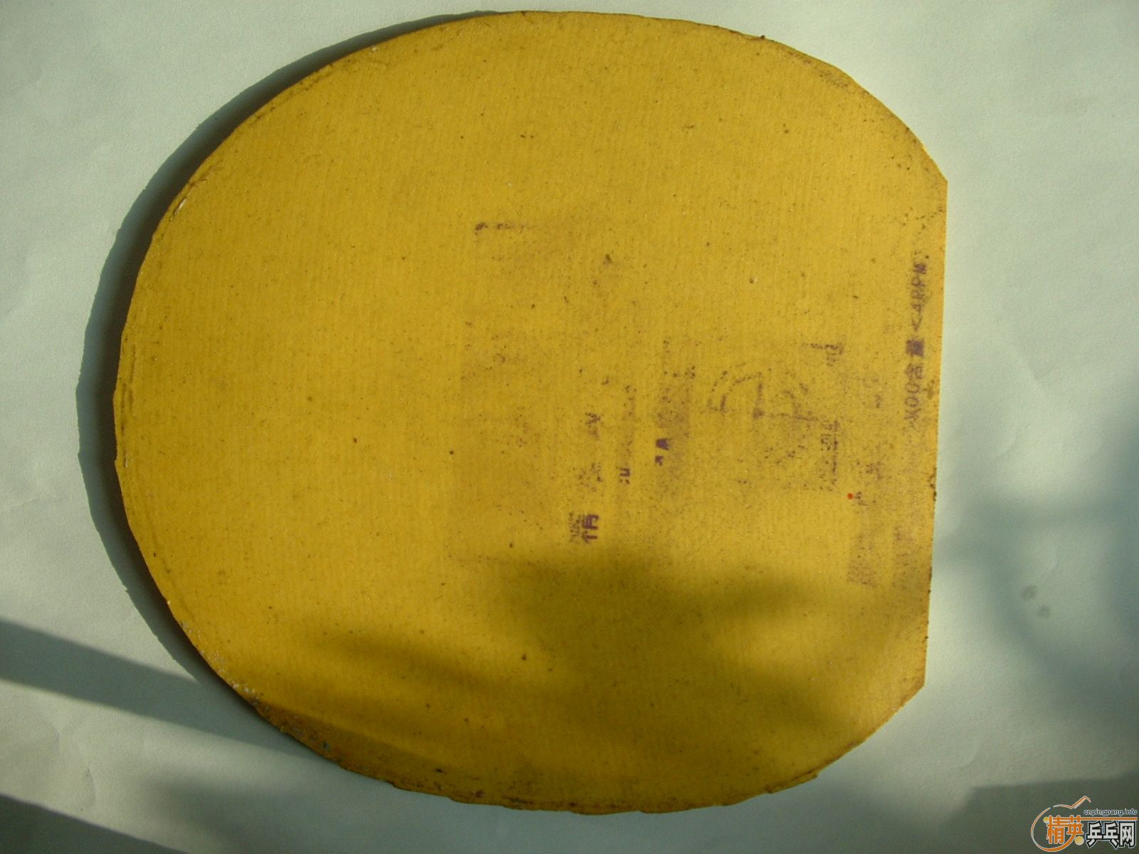 �������׽� ֧��������