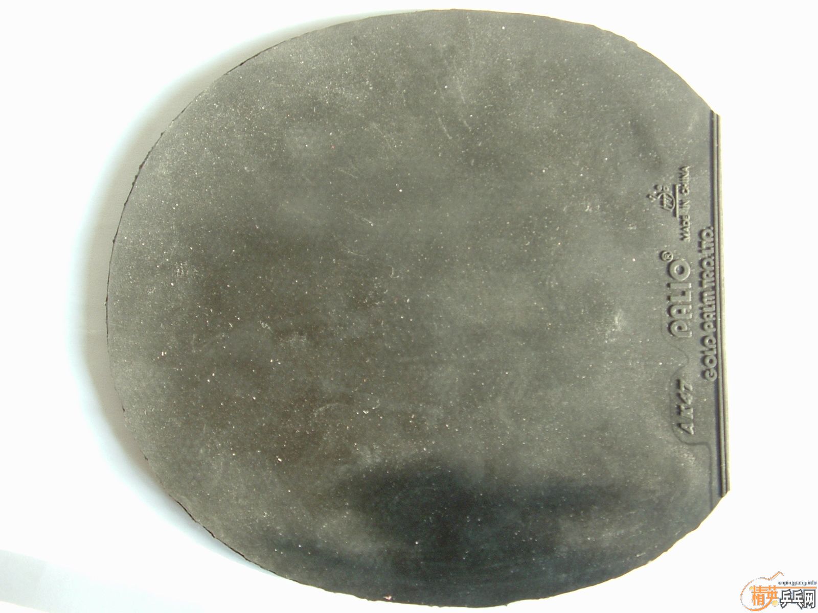 �������׽� ֧��������