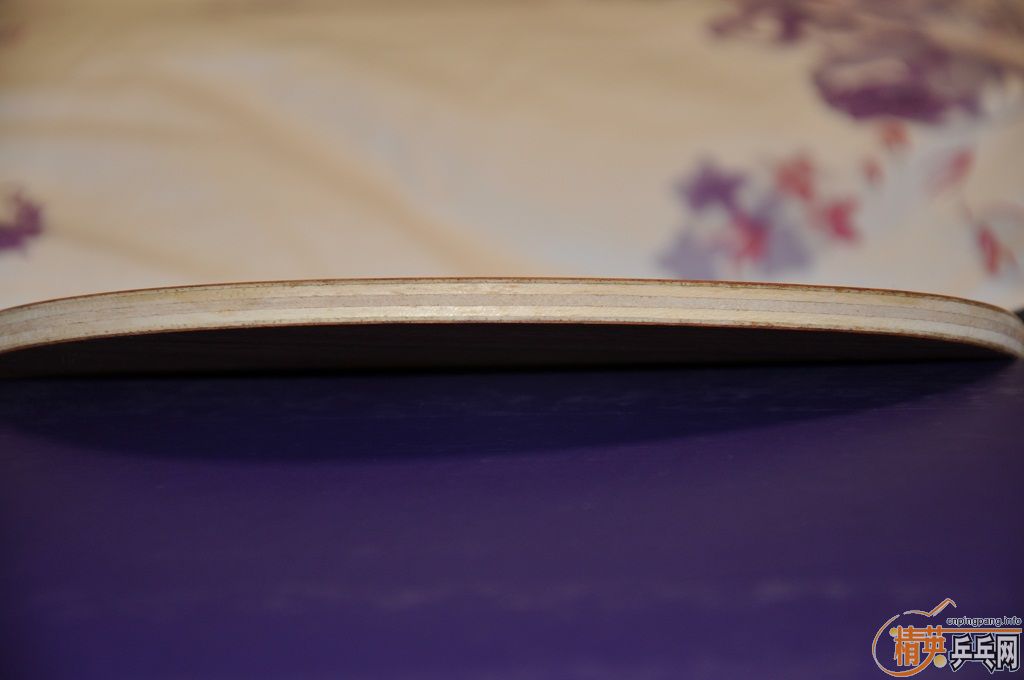 DONICѪľ7==450��˳��