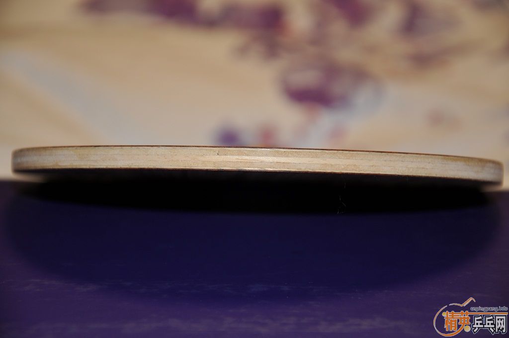 DONICѪľ7==450��˳��