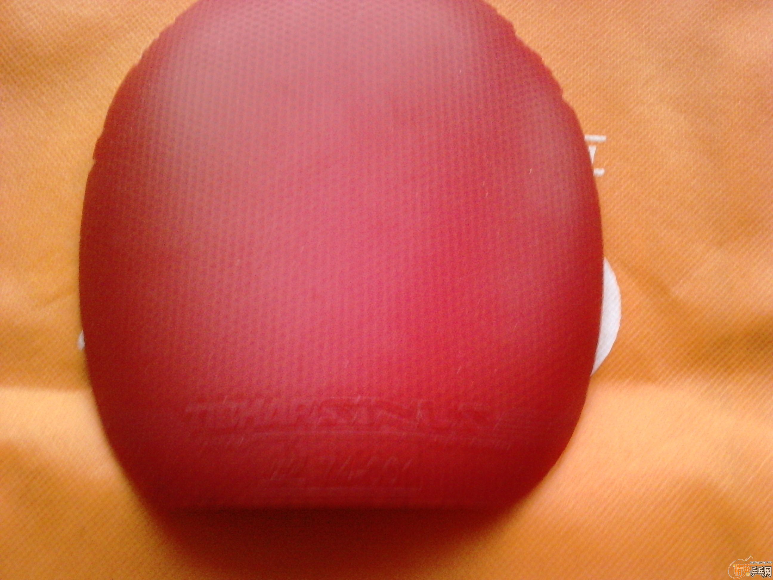 tibhar sinus+95560ԪǸĵƬ