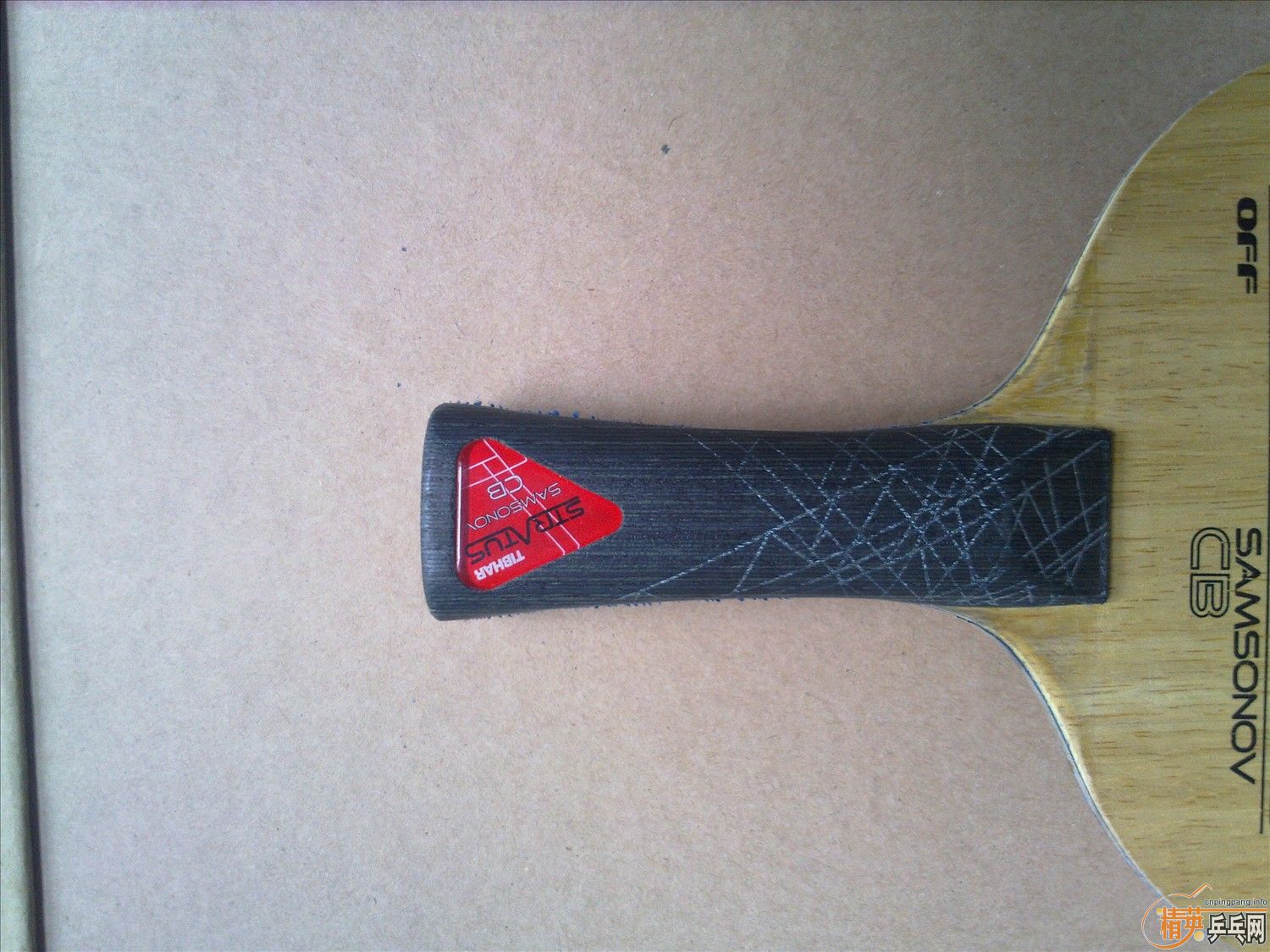 [ԭ��Ʒ��õ�]��̼֩�������������״����460����,��