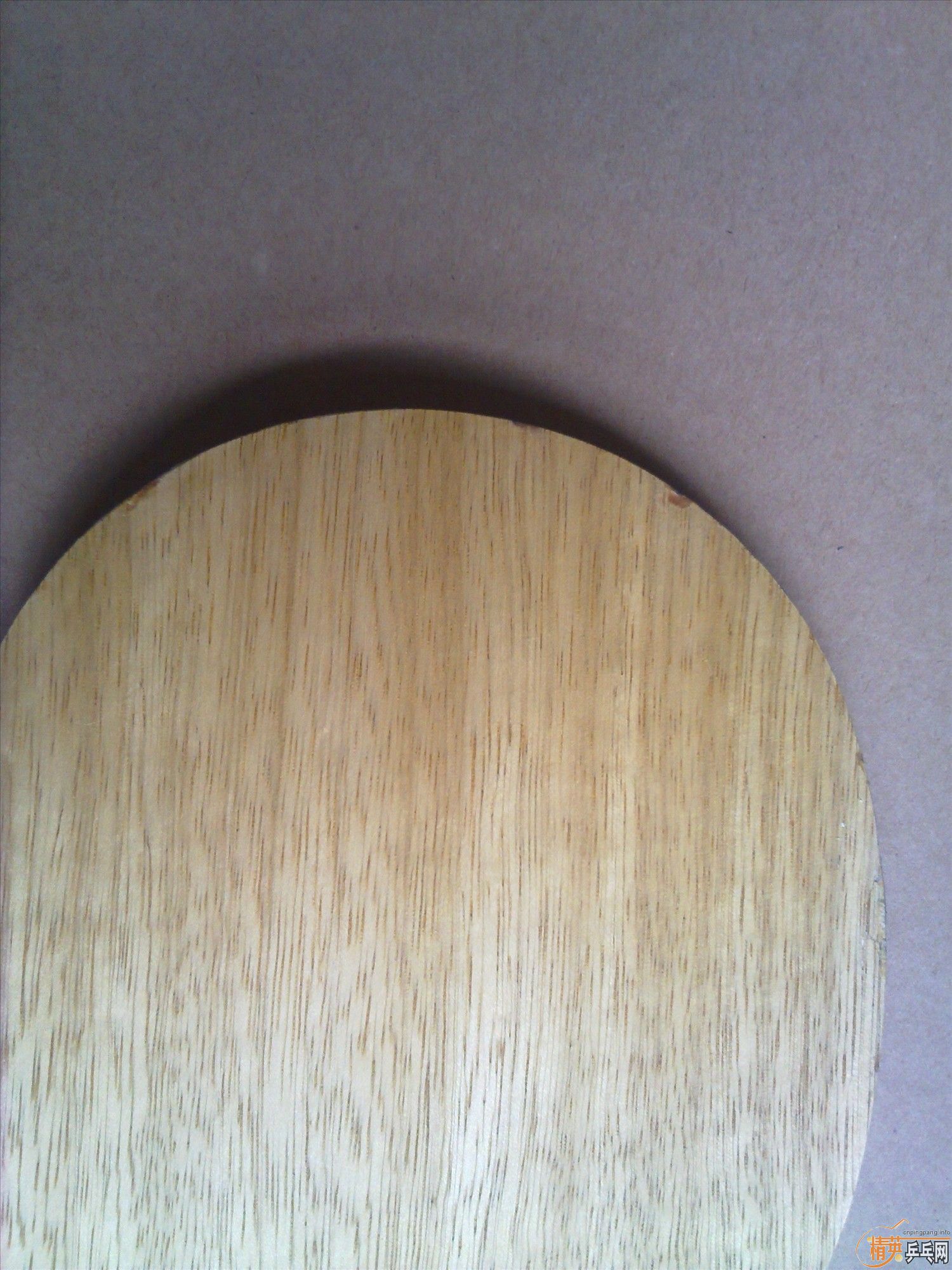 [ԭ��Ʒ��õ�]��̼֩�������������״����460����,��