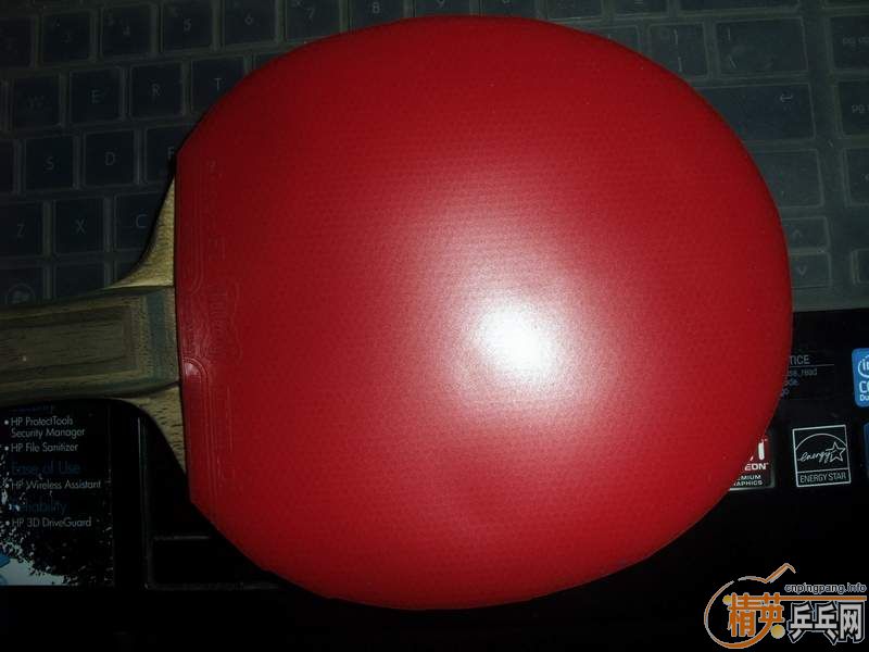 ��������ŭ���еĽ�Ƥ��EL���޻�ʡ�񣡣���