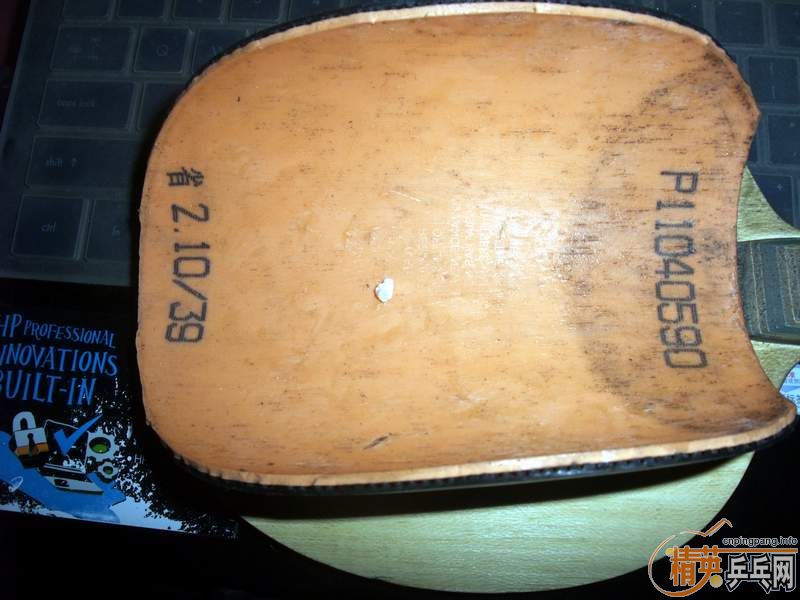 ��������ŭ���еĽ�Ƥ��EL���޻�ʡ�񣡣���