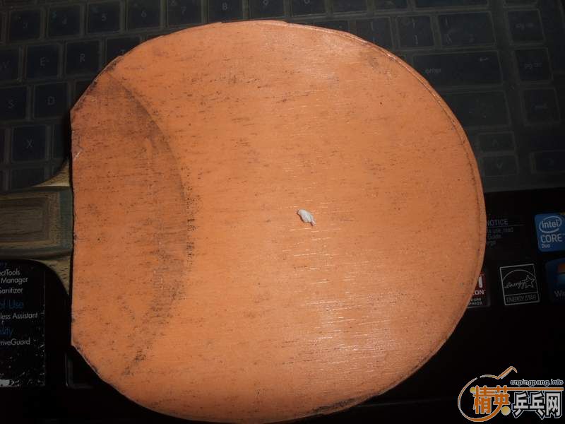 ��������ŭ���еĽ�Ƥ��EL���޻�ʡ�񣡣���