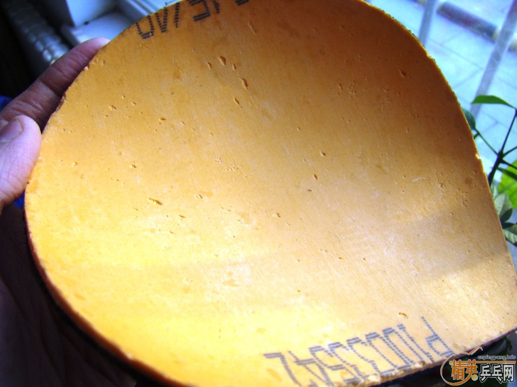 ��绨ѩ�������������Ҽ�֤