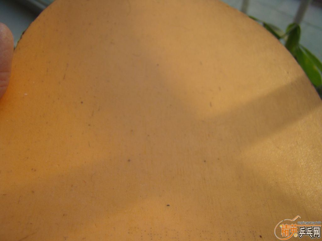 ��绨ѩ�������������Ҽ�֤