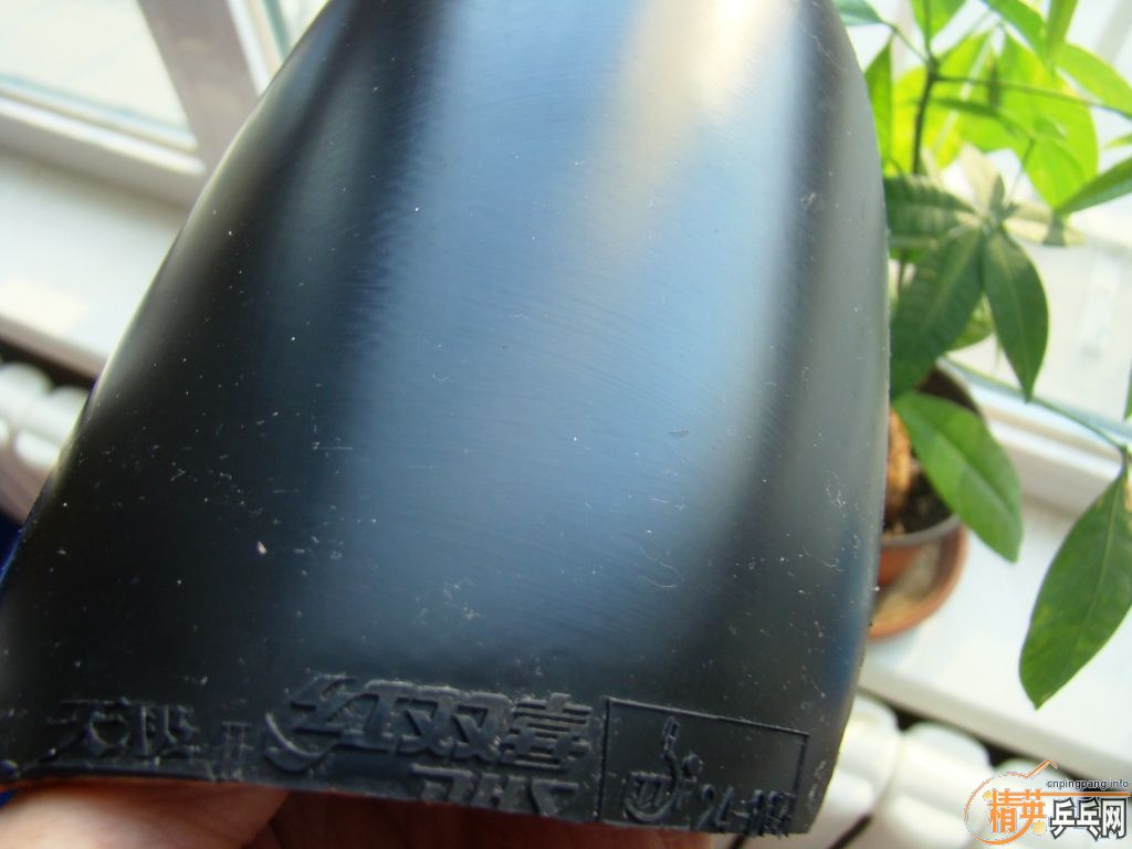 ��绨ѩ�������������Ҽ�֤