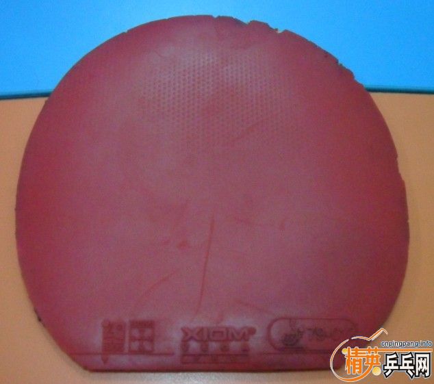 [����]�����˼��εĽ���Ψ�ѻ�Ȧ