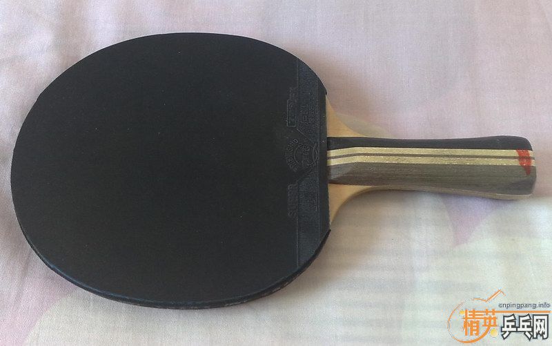 �� 729Z1  ����2024  ���ӻ���