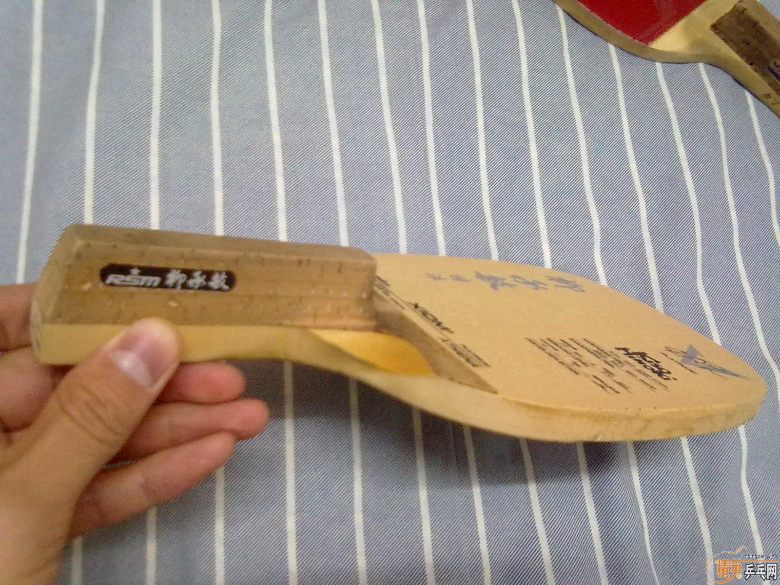 ���� ��    ���׽�  ��ע.