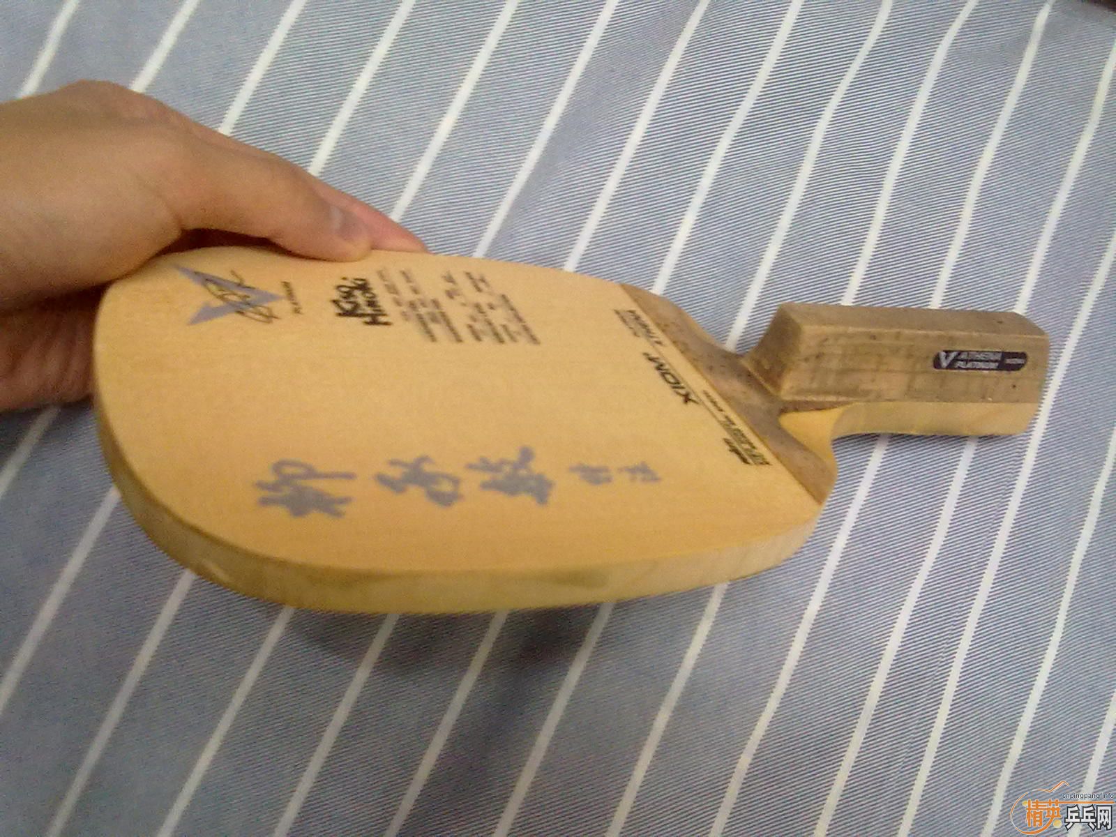 ���� ��    ���׽�  ��ע.