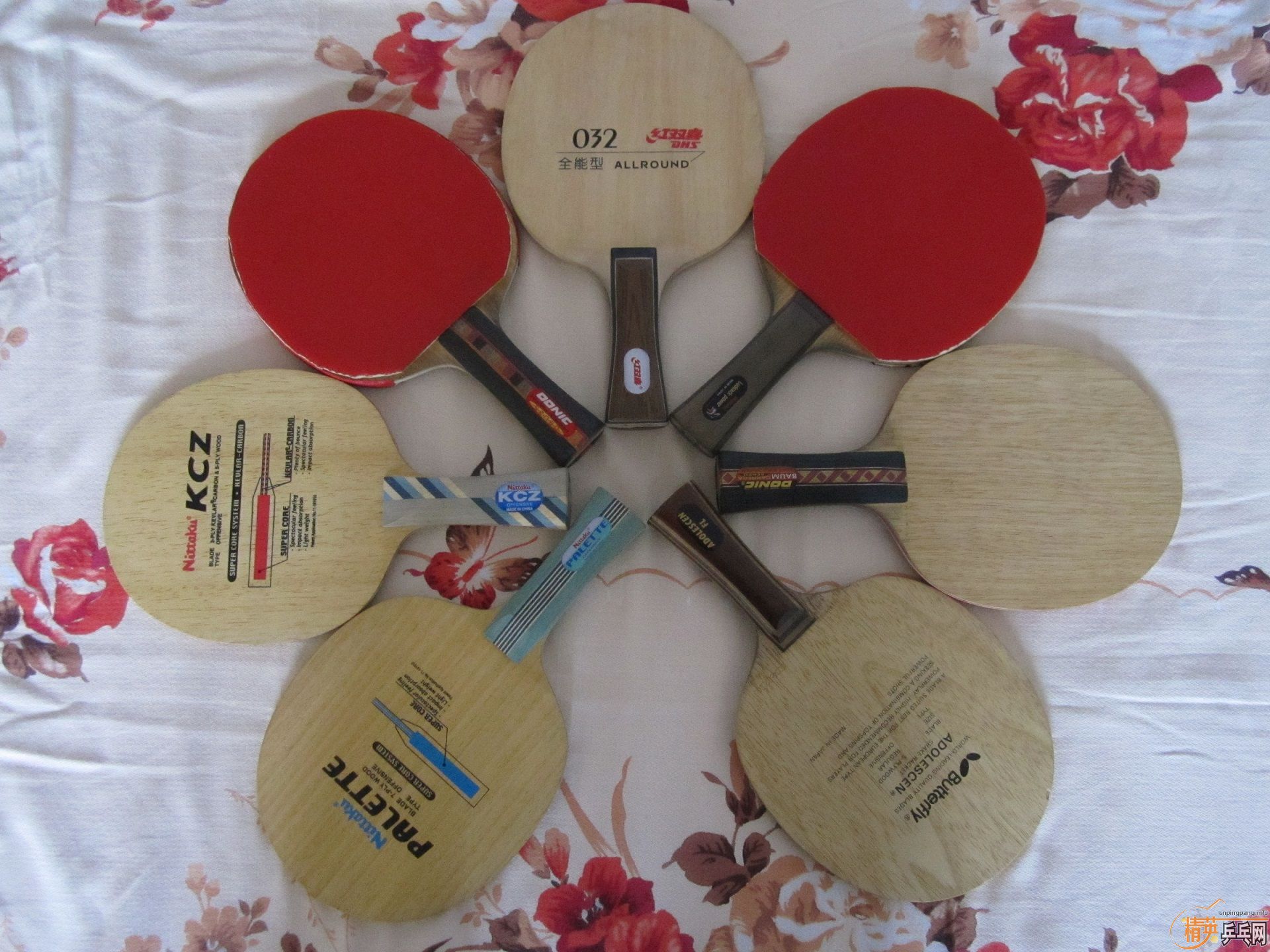 �����ˣ������ӣ��ͽ�Ƥ