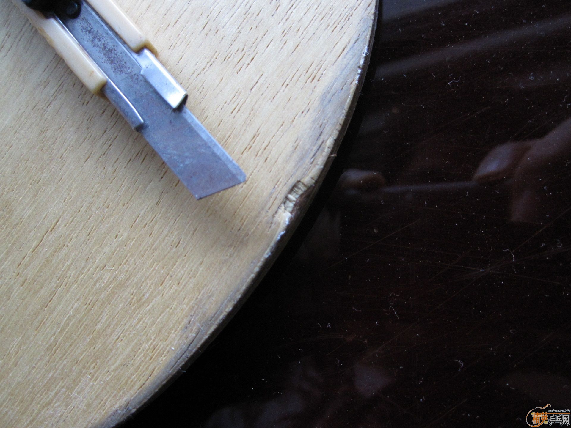 �����ˣ������ӣ��ͽ�Ƥ