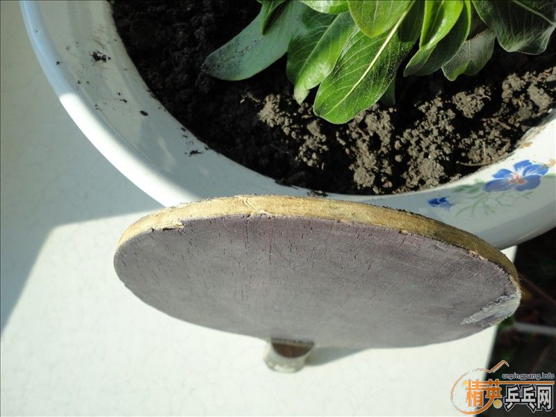 �ͼ۳��򻻣����˵�����MC-2