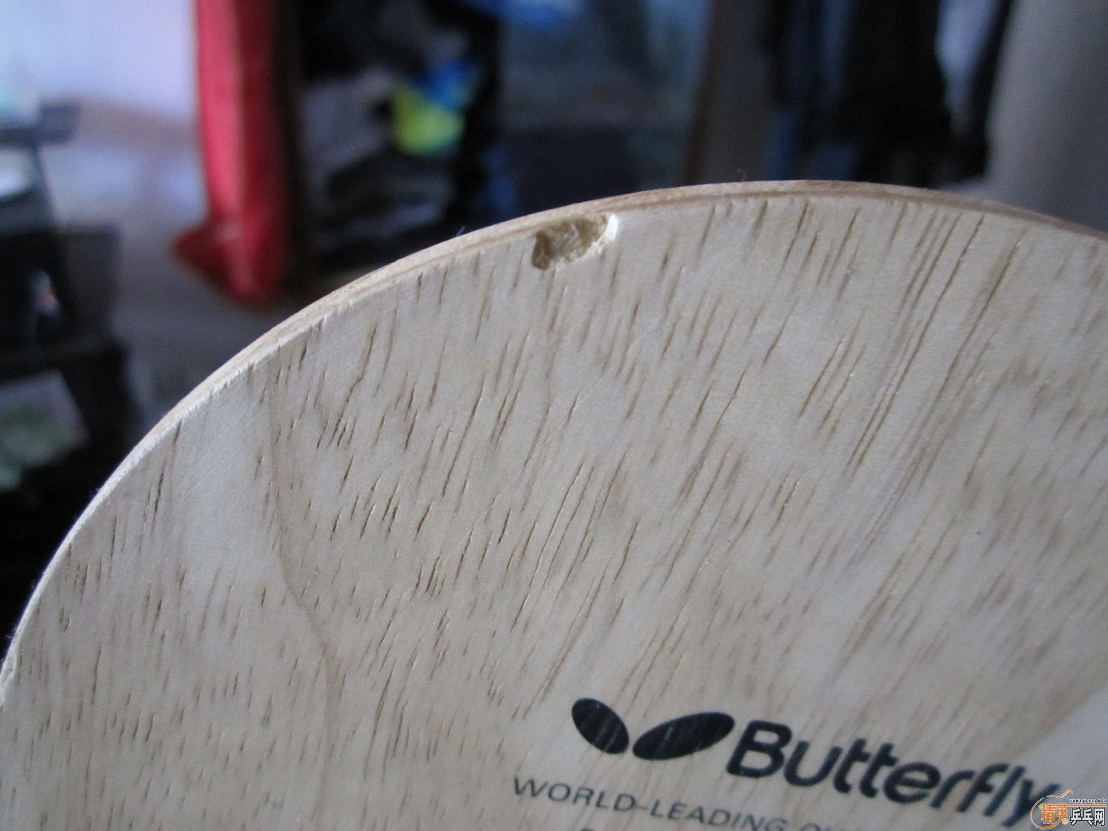 �����ˣ������ӣ��ͽ�Ƥ