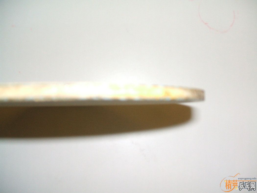 ϴ˹ƹƷ