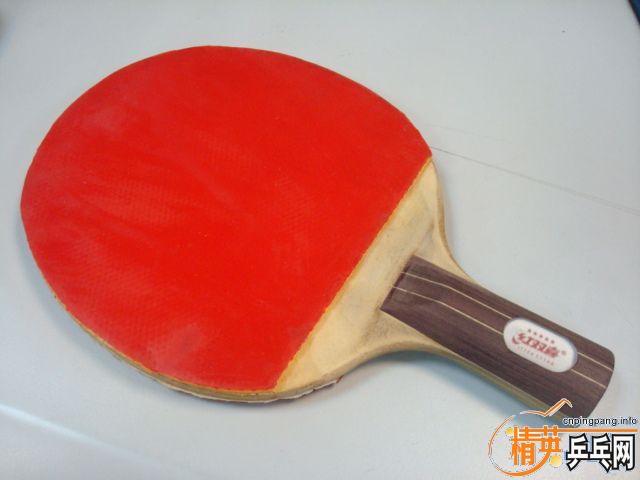 [֧����]��װ��ͽ�Ƥ��