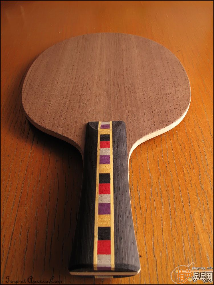 ���һ�ε�Donic ���� ��ǡ FL 93�ˣ�֧����