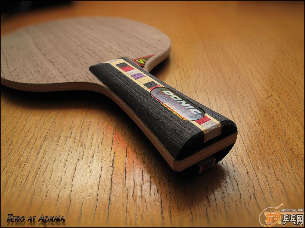 ���һ�ε�Donic ���� ��ǡ FL 93�ˣ�֧����