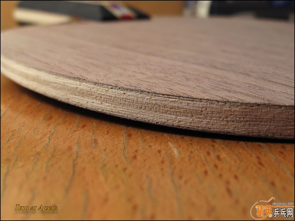 ���һ�ε�Donic ���� ��ǡ FL 93�ˣ�֧����