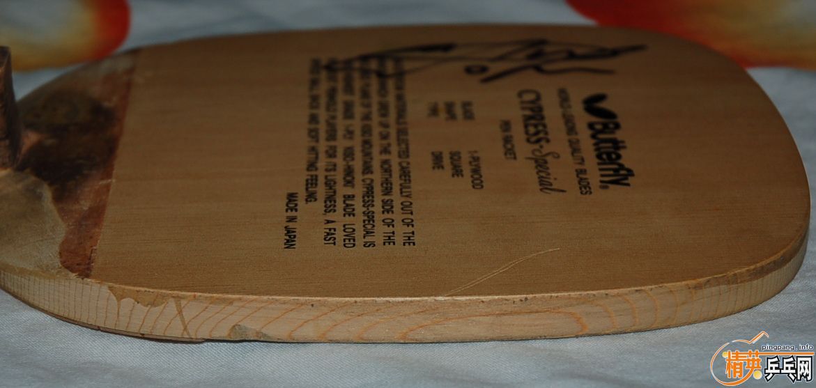 yP8dFn79.jpg