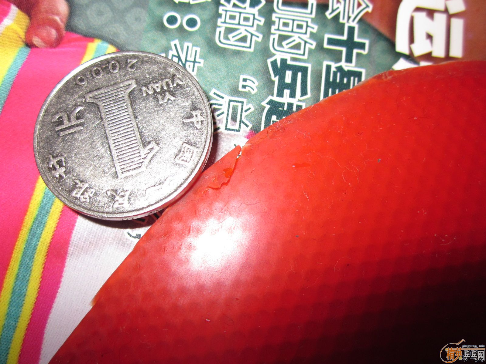 ������ˣ����㶫����siriver EL��2.1�� �տ��