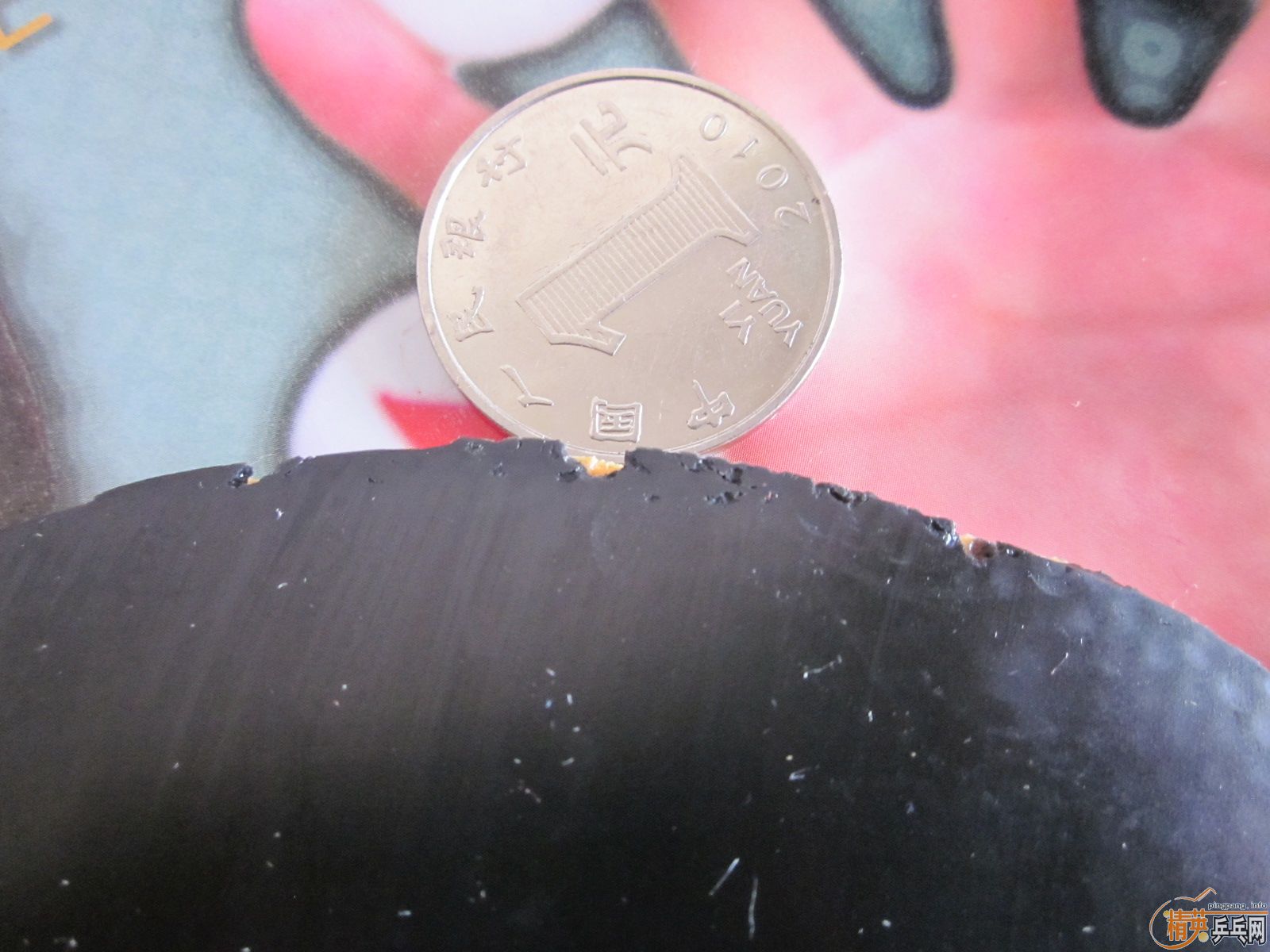 ������ˣ����㶫����siriver EL��2.1�� �տ��