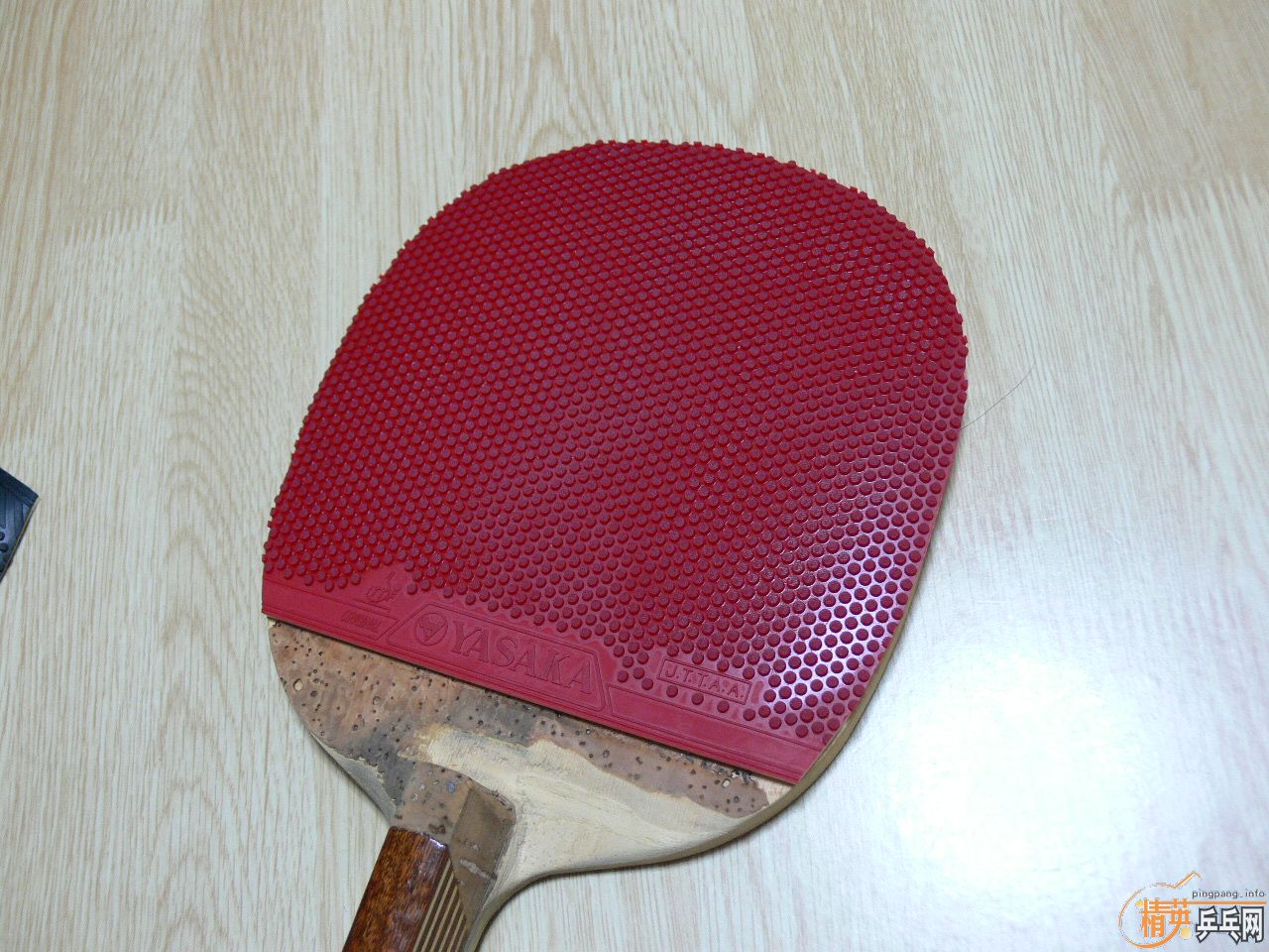 ��ҹ���ģ� �������к� ���Դ�Ƥ������