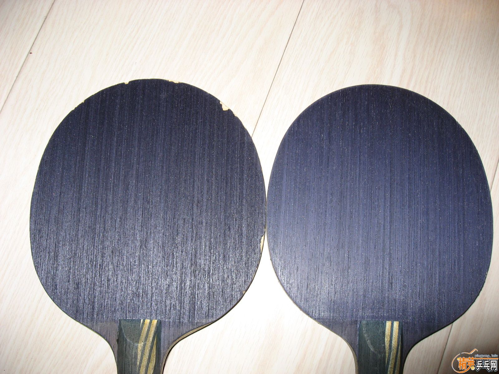 ���¿���������